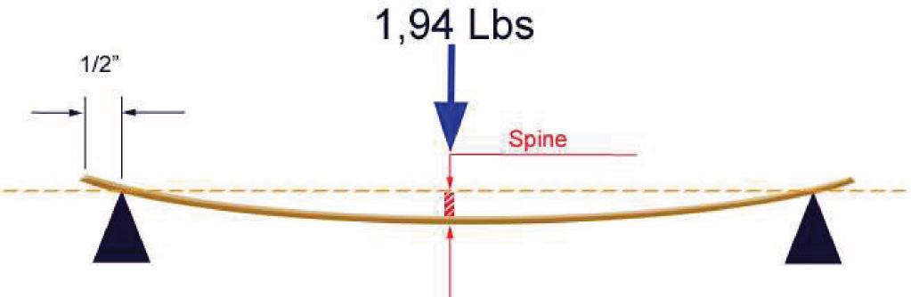 Illustrazione dello Spine