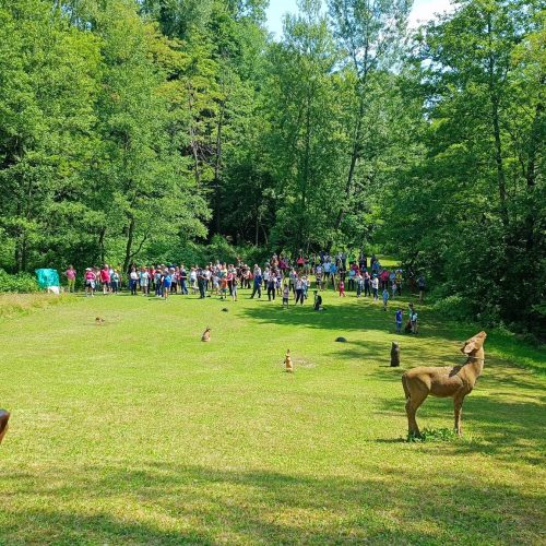 01 giugno 2025 – Campotamaso